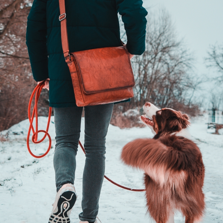 Kožená messenger taška Poyem materiál kůže zapínání s klopou barva koňaková velikost velká 2205 Poyem KO Lifestyle