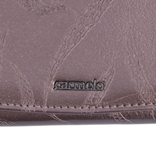 Dámska kožená peněženka s jemným vzorem Carmelo materiál kůže zapínání na cvoček barva taupe velikost velká 2109 L T Logo