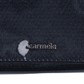 Lakovaná kožená peněženka s moderním vzorem Carmelo materiál kůže zapínání na zip barva šedá velikost malá 2105 K ANT Logo