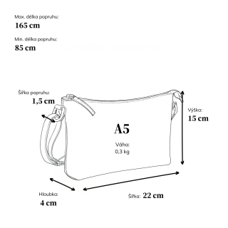 Kožená crossbody s čistými liniemi Noelia Bolger materiál kůže zapínání na zip barva černá velikost malá NB 2414 C Rozměry