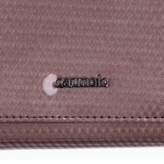 Lakovaná kožená peněženka s moderním vzorem Carmelo materiál kůže zapínání na zip barva taupe velikost malá 2105 K T Logo