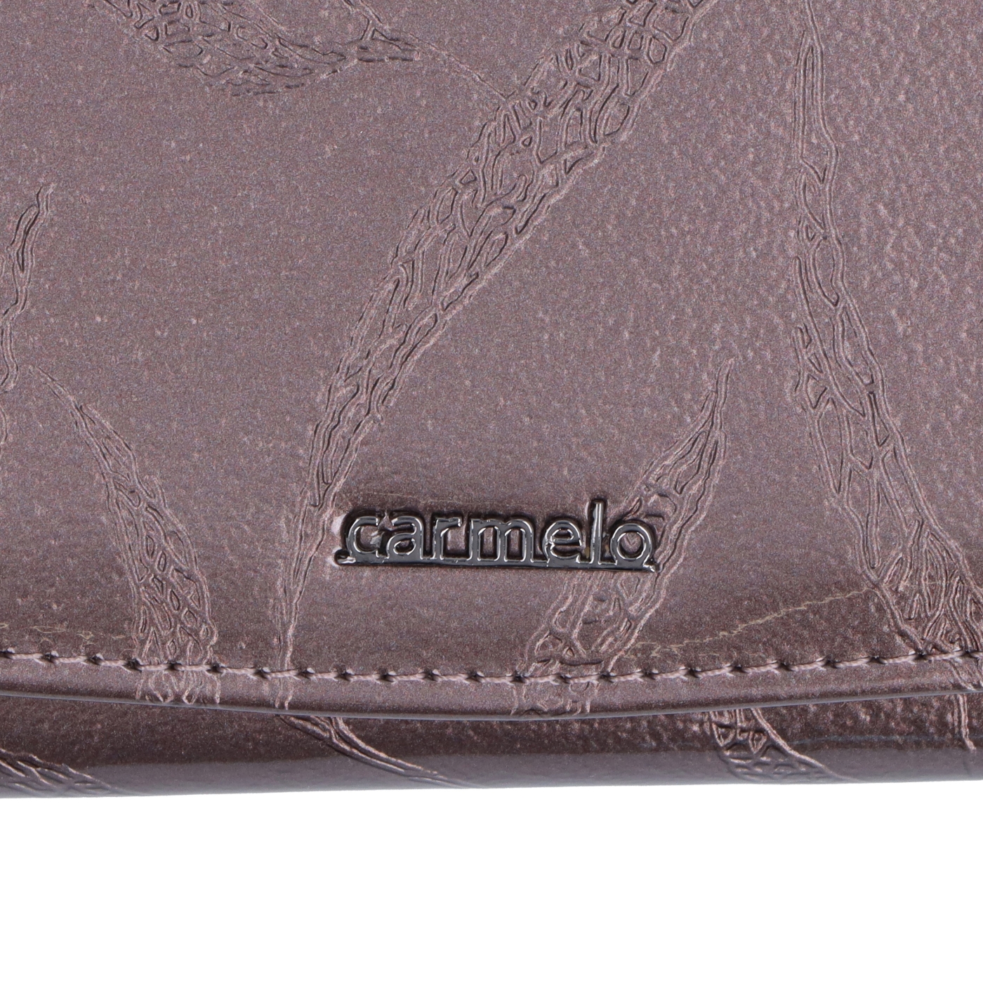 Dámska kožená peněženka s jemným vzorem Carmelo materiál kůže zapínání na cvoček barva taupe velikost velká 2109 L T Logo