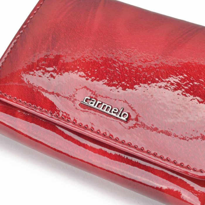 Kožená peněženka Carmelo – 2105 P CV