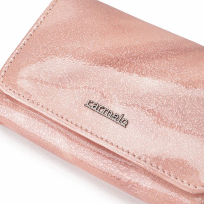 Kožená peněženka Carmelo – 2105 P R