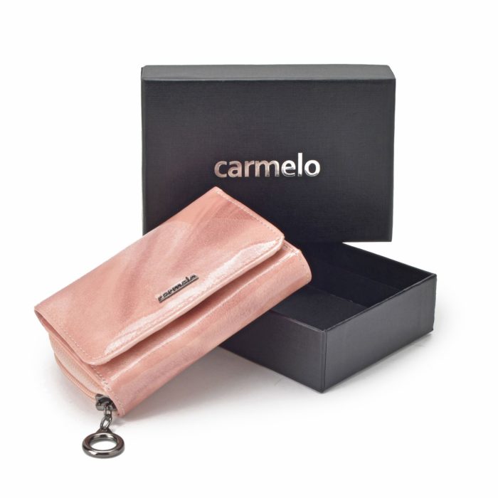Kožená peněženka Carmelo – 2105 P R
