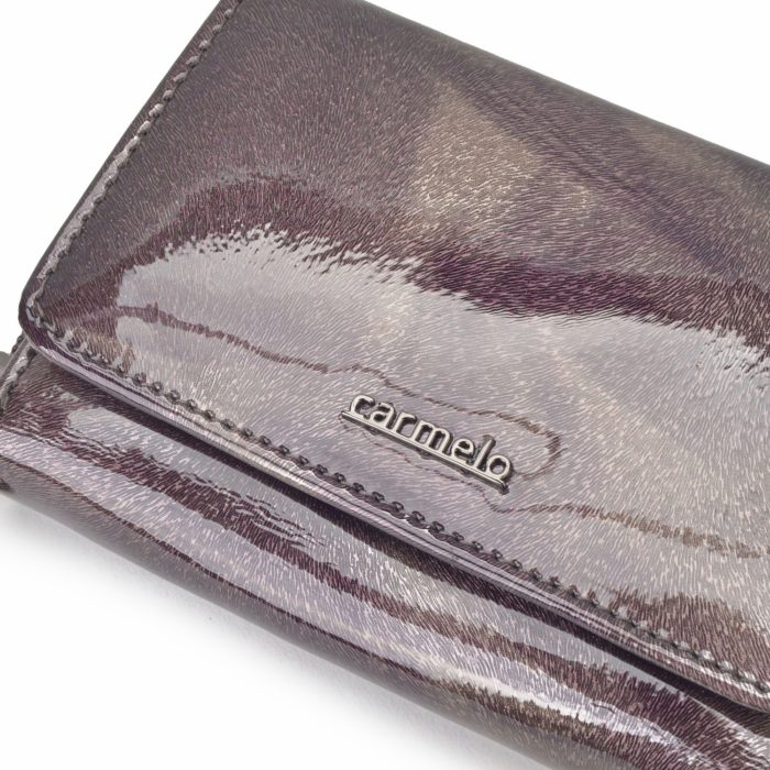 Kožená peněženka Carmelo – 2105 P T