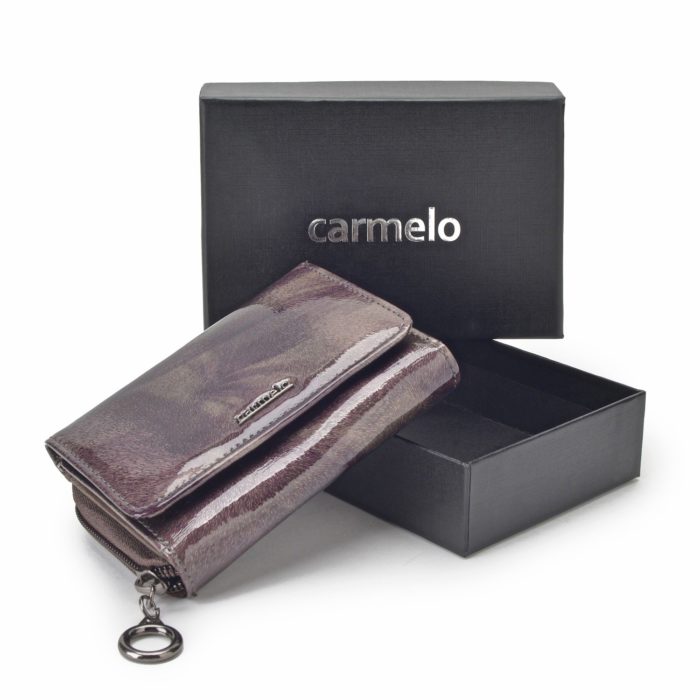 Kožená peněženka Carmelo – 2105 P T