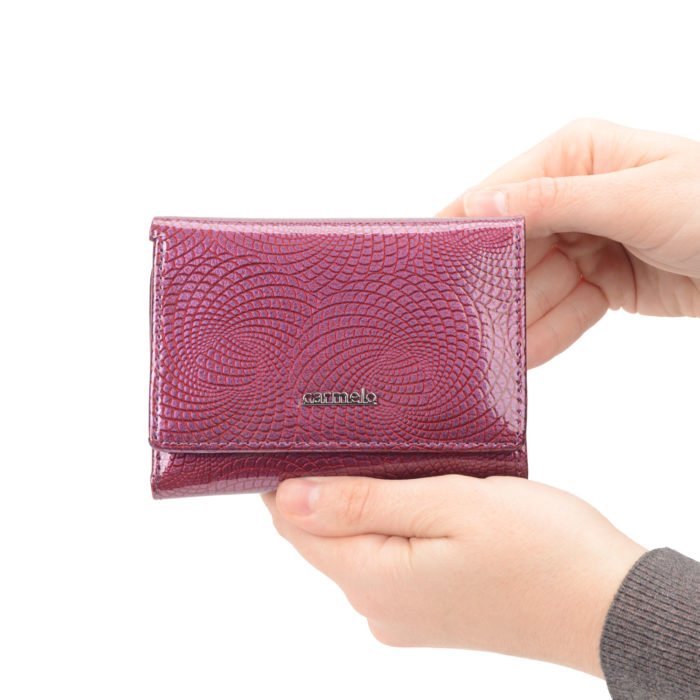 Kožená peněženka Carmelo - 2106 N LI