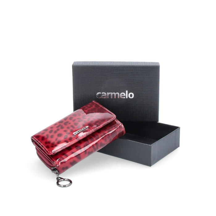 Kožená peněženka Carmelo – 2105 T CV